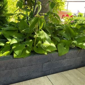 Forto Walling (Brickline) 10x10x60 cm Zwart