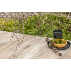 Keramische Tegel GeoCeramica® topplaat 60x30x1 cm Timber Noce