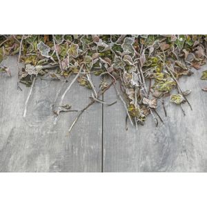 GeoCeramica® topplaat 60x30x1 Timber Grigio