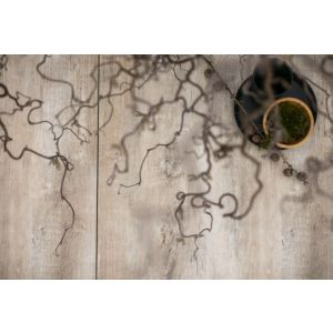 Keramische Tegel GeoCeramica® topplaat 80x40x1 cm Timber Tortera