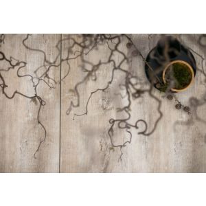 Keramische Tegel GeoCeramica® topplaat 60x30x1 cm Timber Torter