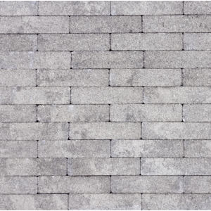 GeoKlinker Plus ZF Elba waalformaat 20x5x6 cm betonbestrating zonder facet, gelegd in een sfeervol visgraatverband op een tuinpad.