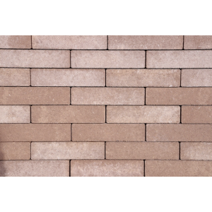 GeoRetron Privato Klinker 21x10,5x8 cm Rhodenrijs