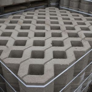 HACO Grasbetontegel 40x60x10 cm Grijs (nagenoeg vlak)