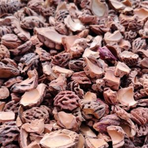 Halve perzikstenen 8-16 mm (zak á 10 kg - ca. 17 liter)