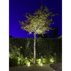 in-lite BIG FLUX (without ring)