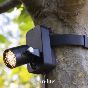 in-lite BRACE