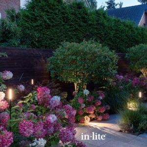 in-lite BREEZE LOW