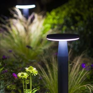 in-lite DISC