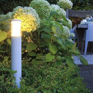 in-lite LIV White