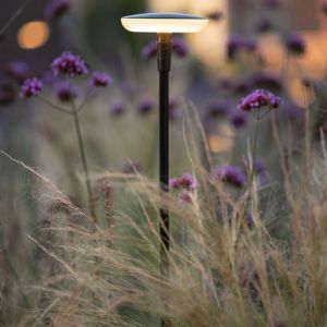 in-lite SWAY Black