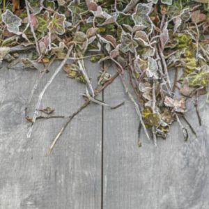 Keramische Tegel GeoCeramica® 80x40x4 cm Timber Grigio