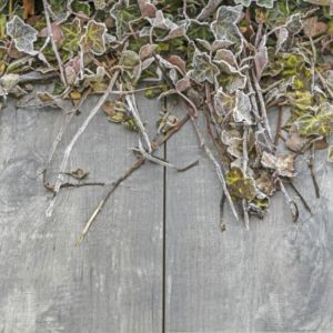 Keramische Tegel GeoCeramica® topplaat 80x40x1 cm Timber Grigio