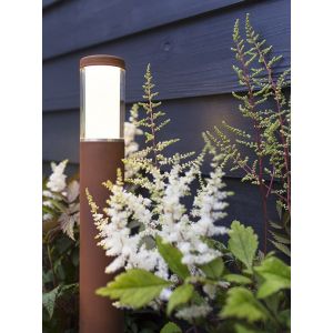 in-lite LIV CORTEN