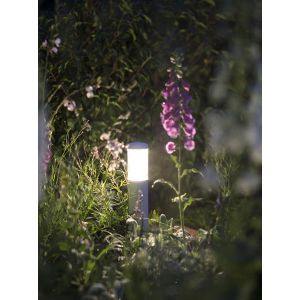 in-lite LIV LOW ROSE SILVER
