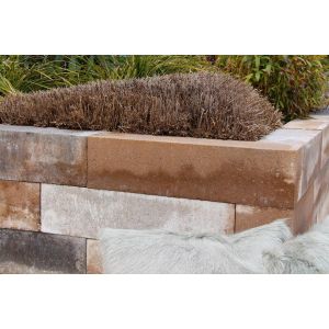 Palinoblock 15x15x60 cm Lime
