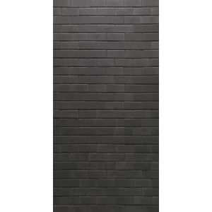 Premiton Linea 20x10x6 cm La Palma is een tuintegel van het merk Redsun die geschikt is voor tuin, terras en oprit.