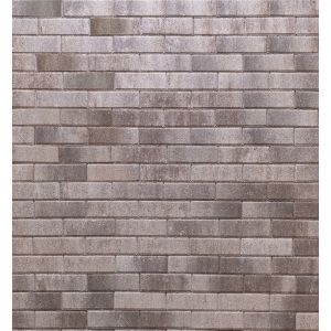 Premiton Linea 21x6,8x6 cm Tenerife is een hoogwaardige tuintegel van het merk Redsun. De tuintegel is geschikt voor het aanleggen van een oprit, tuin en terras.