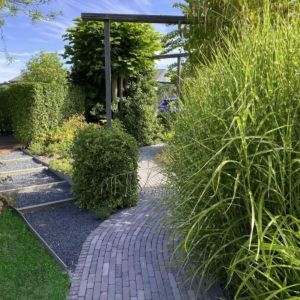 Retrostones Plus Waalformaat 20x5x6 cm Paars/Bruin