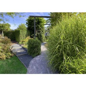 Retrostones Plus Waalformaat 20x5x6,4 cm Paars/Bruin