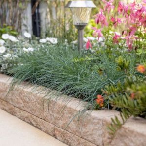 Rockline Walling Small 10x10x40 cm Mosselkalk