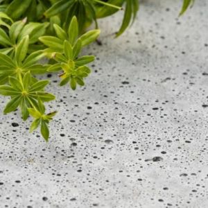 Schellevis Oud Hollandse Tegel 120x120x12 cm Grijs