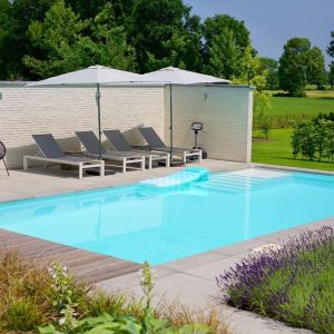 Schellevis Oud Hollandse Zwembadrand 100x100x5 cm Grijs