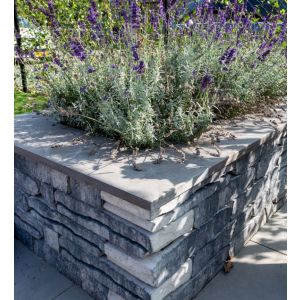 Siam Bluestone vijverrand 100x25x3 cm verzoet