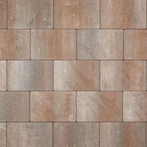 Smartton XL 20x30x8 cm Kilimanjaro