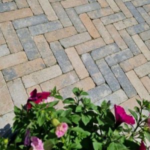 Stonique® Dikformaat Getrommeld 21x7x6 cm Musselkalk