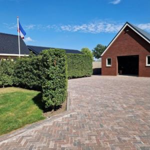 Stonique® Dikformaat Getrommeld 21x7x6 cm Oud Emmen