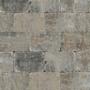 Trommelsteen 20x30x6 cm musselkalk 