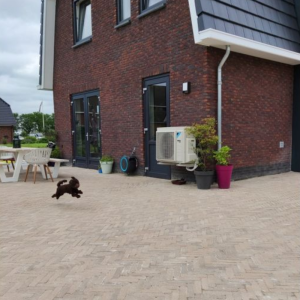 Stonique® Waalformaat Getrommeld 20x5x7 cm Oud Kampen