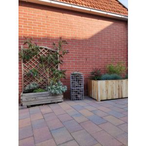 Straksteen 20x30x5 Paars Genuanceerd - Kijlstra