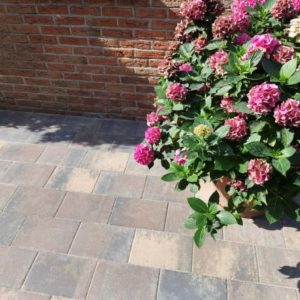 Straksteen 20x30x6 cm Chelsea