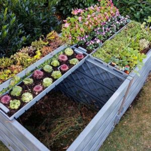 Terragrow Seedtray/Kweekbak 100x20x15 cm

