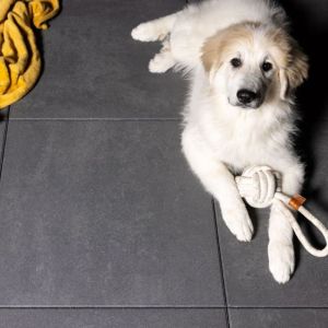 Terrastegel Trippel T 60x60x4 cm Zwart/Grijs Genuanceerd