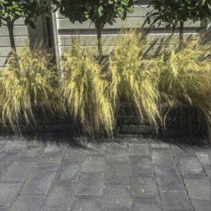 Tumbelton Extra Dikformaat 21x6,8x6 cm Coal