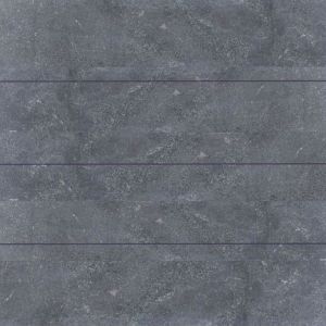 Vijveradekrand Asian Bluestone met facet 3x25x100 cm

