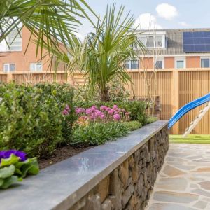 Vijveradekrand Asian Bluestone met facet 3x25x100 cm