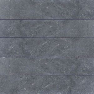 Vijverafdekrand Asian Bluestone met facet 3x20x100 cm
