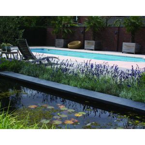 Vijverrand 100x30x3 cm Black (6 zijdes verzoet, 8 facetranden)