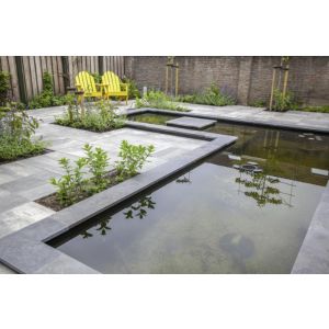 Natuursteen Vijverrand Hoekstuk Blue Moon Honed Linea 50/20x50x3 cm