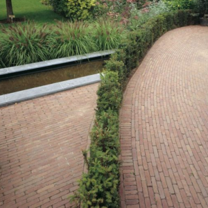 Waalformaat getrommeld 6 cm Roma Antica (rood genuanceerd)