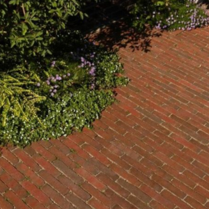 Waalformaat ongetrommeld 8 cm Lumino (rood-paars genuanceerd)