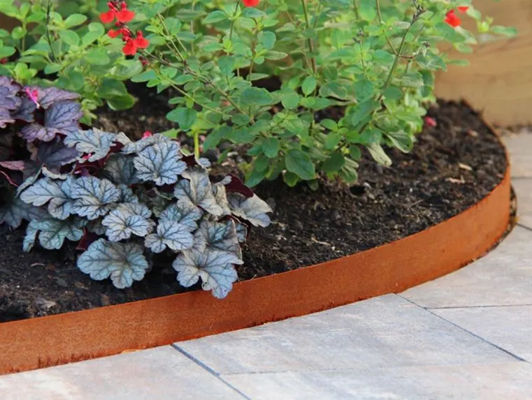 Zelf een border maken in de tuin