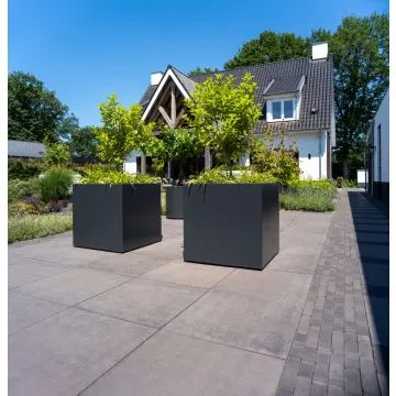 Adezz CARREZ Gitzwarte (Aluminium) Plantenbak 70x70x70 cm