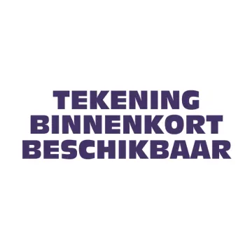 Maaiveld Verloopband (trottoir) vlak > 18/20x25x100 cm grijs