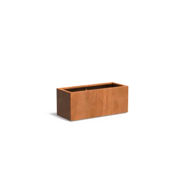 Adezz CARREZ Cortenstalen Plantenbak 120x50x50 cm