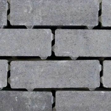 Eco Bricks Waterpasserend (Geïmpregneerd) 7x21x8 cm Veerse
